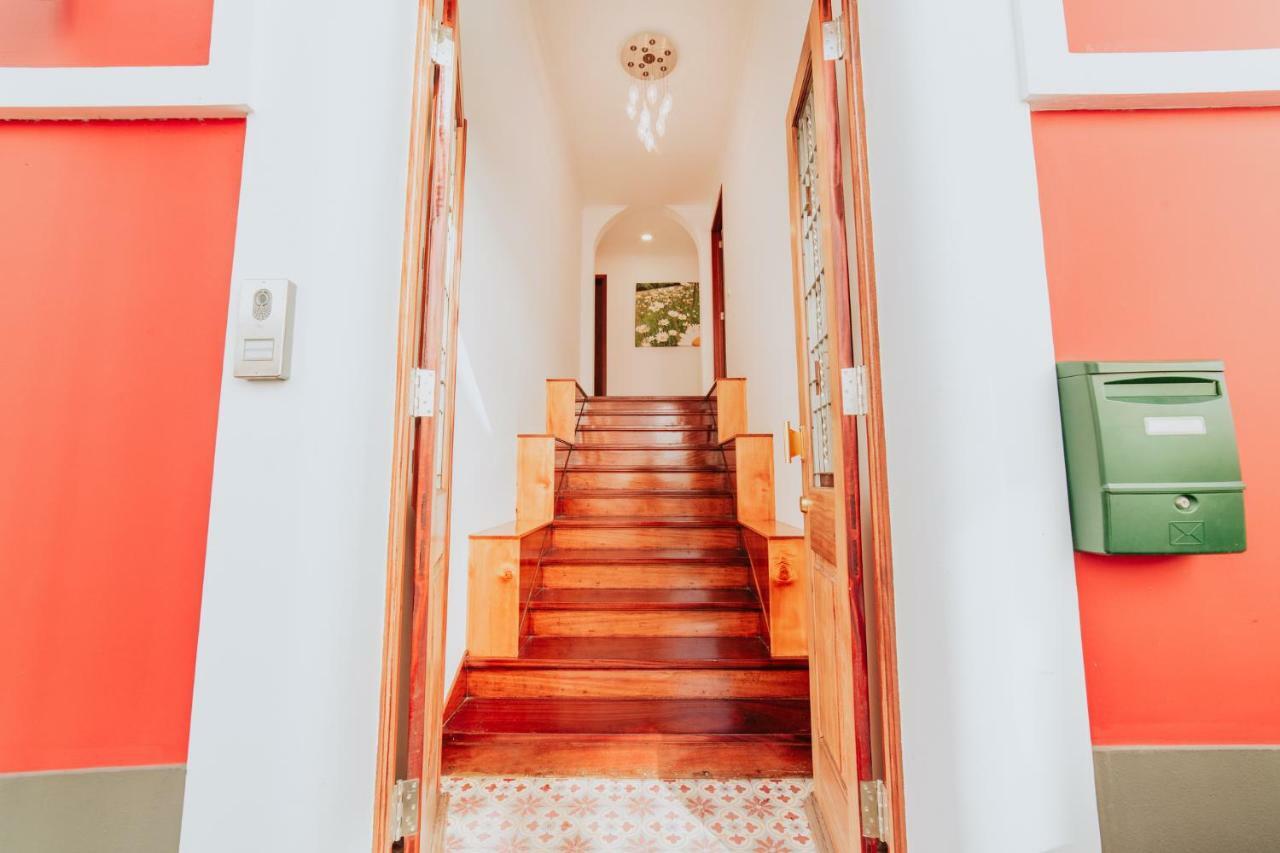 شقة فونشال  في Casa Strelitzia المظهر الخارجي الصورة